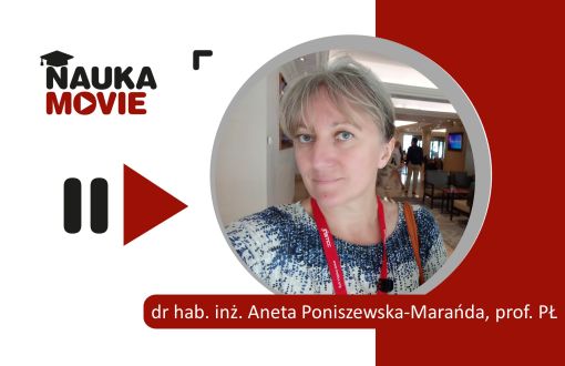 prof. Poniszewska-Marańda, PŁ