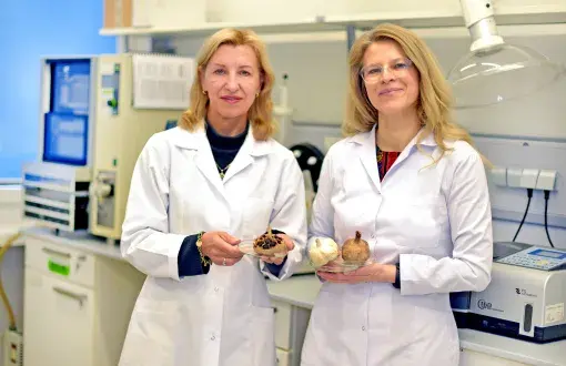 Od lewej: prof. Grażyna Budryn i dr inż. Ilona Galązka- Czarnecka, fot. Jacek Szabela