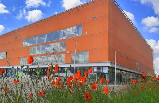 Zatoka Sportu na tle maków znajdujących się na pierwszym planie