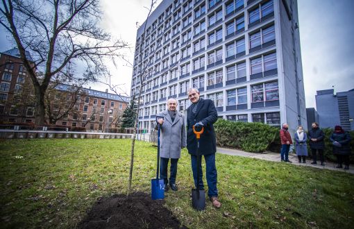 dwaj mężczyźni stoją na tle szarego budynku, trzymają szpadle, obok nowo posadzone drzewo