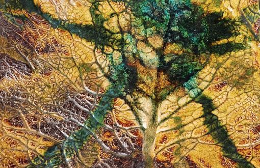 Wystawa „Orbis Signorum” A. B. Dończyk-Gajos